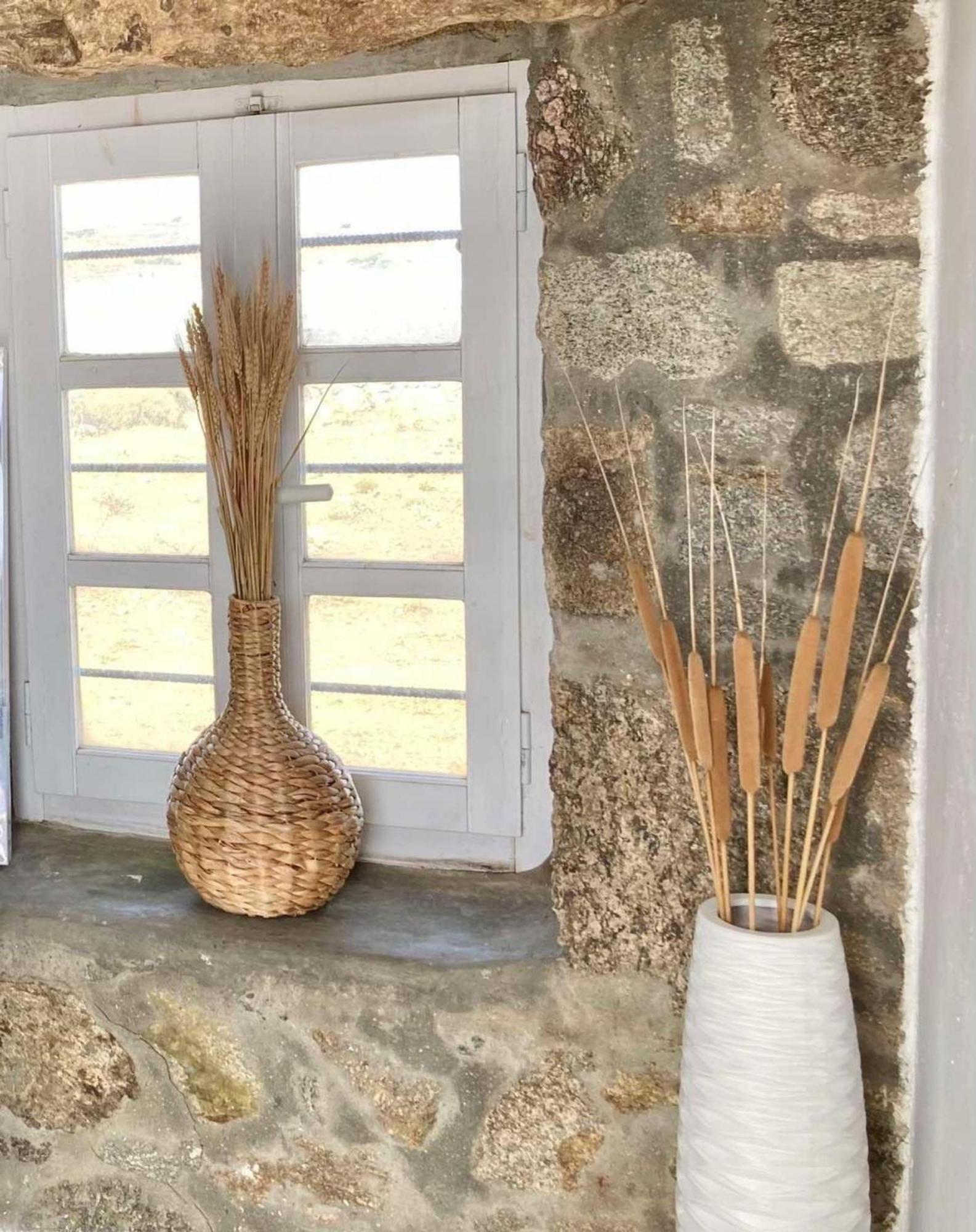 Naira Family Suites Mykonos Mykonos Town Dış mekan fotoğraf